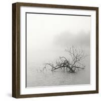 Zen Lake-Nicholas Bell-Framed Photographic Print