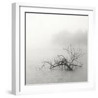 Zen Lake-Nicholas Bell-Framed Photographic Print