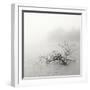 Zen Lake-Nicholas Bell-Framed Photographic Print