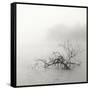 Zen Lake-Nicholas Bell-Framed Stretched Canvas