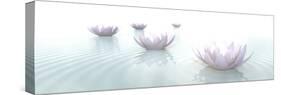 Zen Lotus Flowers in Water with Ripples on Blurred Background-null-Stretched Canvas