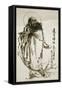 Zen Master, Damo-Lee Deng Sheng-Framed Stretched Canvas