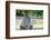 Zen meditation, Seoul, South Korea-Godong-Framed Photographic Print