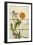 Zen Moon I-Sasha-Framed Giclee Print