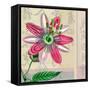 Zen Passion Flower II-Ricki Mountain-Framed Stretched Canvas