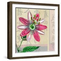 Zen Passion Flower II-Ricki Mountain-Framed Art Print