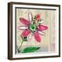 Zen Passion Flower II-Ricki Mountain-Framed Art Print