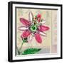 Zen Passion Flower II-Ricki Mountain-Framed Art Print