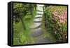 Zen Pathway-Yury Zap-Framed Stretched Canvas