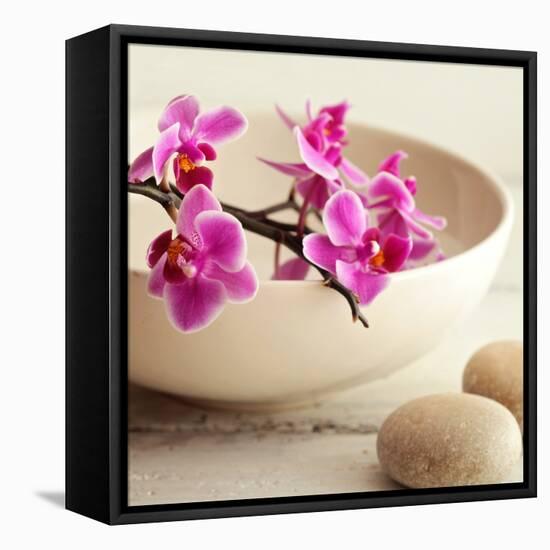 Zen Pebble-null-Framed Stretched Canvas