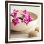 Zen Pebble-null-Framed Photographic Print