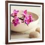 Zen Pebble-null-Framed Photographic Print