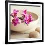 Zen Pebble-null-Framed Photographic Print