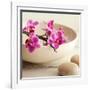 Zen Pebble-null-Framed Photographic Print