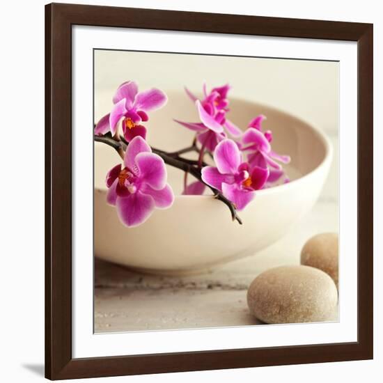 Zen Pebble-null-Framed Photographic Print