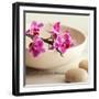 Zen Pebble-null-Framed Photographic Print