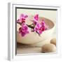 Zen Pebble-null-Framed Photographic Print