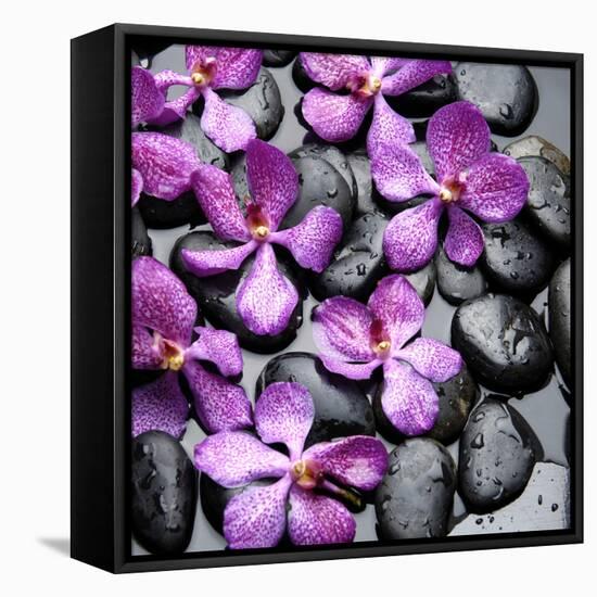 Zen Pebbles-null-Framed Stretched Canvas