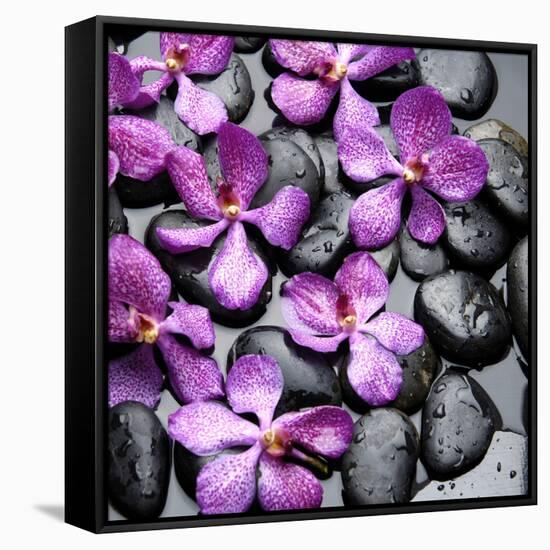 Zen Pebbles-null-Framed Stretched Canvas