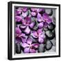 Zen Pebbles-null-Framed Premium Photographic Print