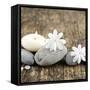 Zen Pebbles-null-Framed Stretched Canvas