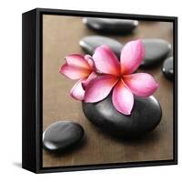 Zen Pebbles-null-Framed Stretched Canvas