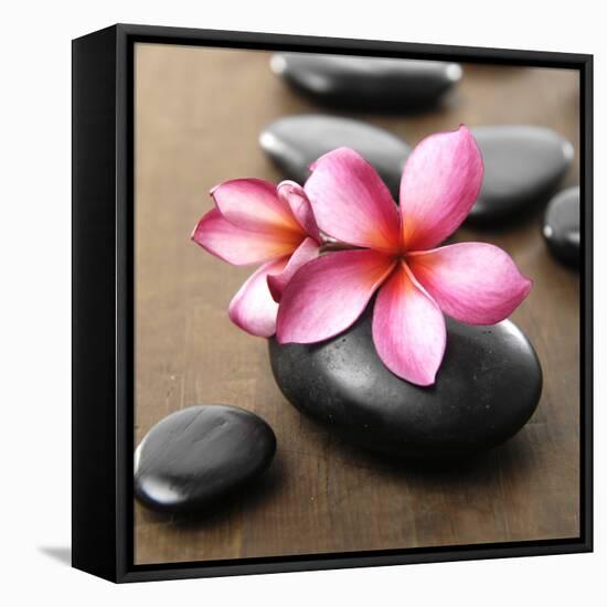 Zen Pebbles-null-Framed Stretched Canvas