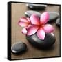 Zen Pebbles-null-Framed Stretched Canvas