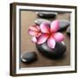 Zen Pebbles-null-Framed Premium Photographic Print