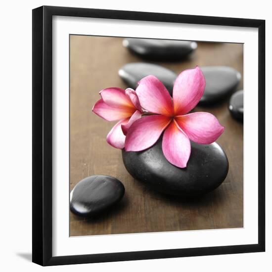 Zen Pebbles-null-Framed Premium Photographic Print