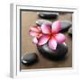 Zen Pebbles-null-Framed Premium Photographic Print