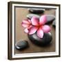 Zen Pebbles-null-Framed Premium Photographic Print