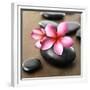 Zen Pebbles-null-Framed Premium Photographic Print