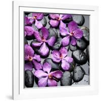 Zen Pebbles-null-Framed Photographic Print