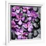 Zen Pebbles-null-Framed Photographic Print