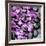 Zen Pebbles-null-Framed Photographic Print