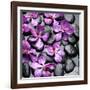 Zen Pebbles-null-Framed Photographic Print