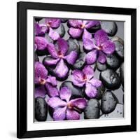 Zen Pebbles-null-Framed Photographic Print