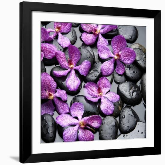 Zen Pebbles-null-Framed Photographic Print