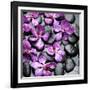 Zen Pebbles-null-Framed Photographic Print