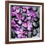 Zen Pebbles-null-Framed Photographic Print