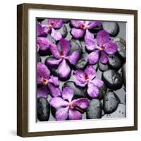 Zen Pebbles-null-Framed Photographic Print