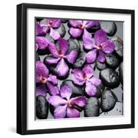 Zen Pebbles-null-Framed Photographic Print