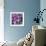 Zen Pebbles-null-Framed Photographic Print displayed on a wall