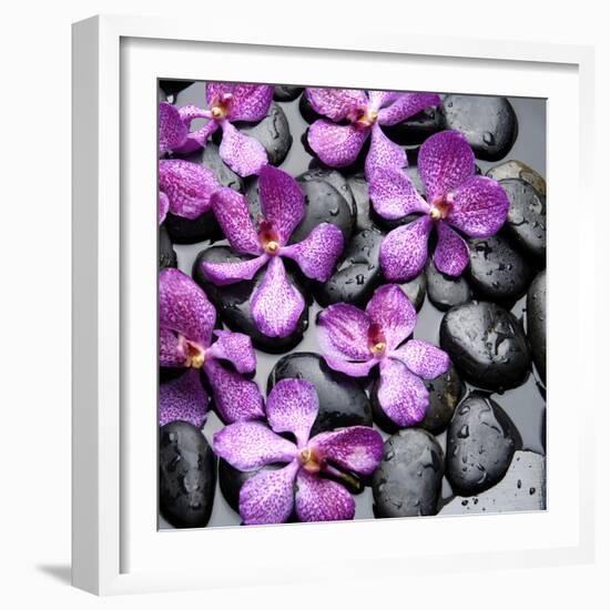 Zen Pebbles-null-Framed Photographic Print