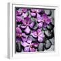 Zen Pebbles-null-Framed Photographic Print