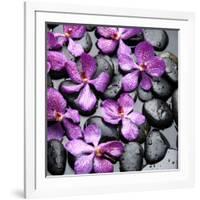 Zen Pebbles-null-Framed Photographic Print