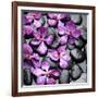 Zen Pebbles-null-Framed Photographic Print