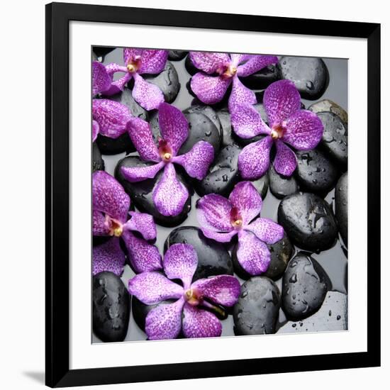 Zen Pebbles-null-Framed Photographic Print