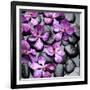 Zen Pebbles-null-Framed Photographic Print